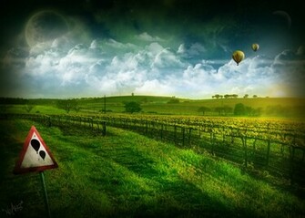 Vineyard Wallpaper Stock Photos