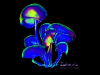Infected Mushroom Graphics Code Comments