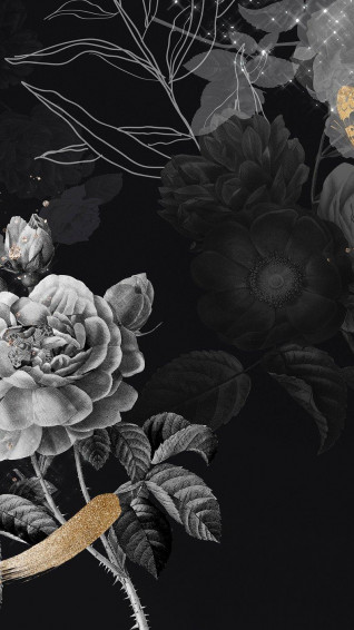 iPhone Wallpaper Dark Aesthetic HD 4k Mobile Phone Image