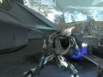 Halo Wars Elite Wallpaper HD In Games Imageci