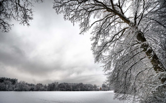 Enjoy A Tranquil Winter Landscape With This Scenery Wallpaper
