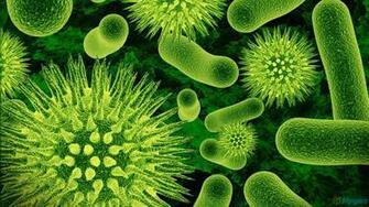 Germs Clip Art On Clipart Library