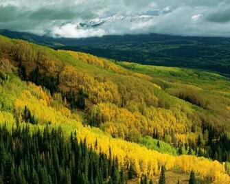 Aspen