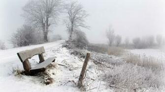 Best Winter Snow Nature HD Wallpaper Of