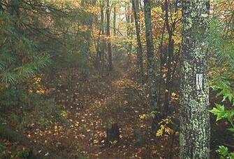 Appalachian Trail Desktop Background Screensavers