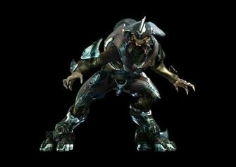Halo Elite Wallpaper Eliteofficergameres Jpg