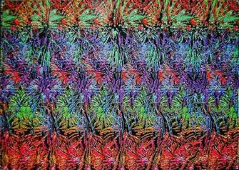 Iver Tomitheos S Photos Tagged With Magiceye