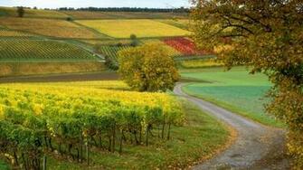 HD Wallpaper Desktop Bangladesh Country