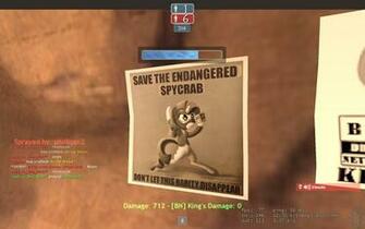 Save The Endangered Spycrab By Lavik1988