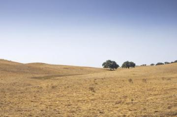 Alentejo Pictures Image