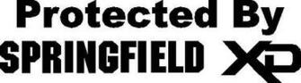 Springfield Xd Logo Fastdecals Shop Corporate