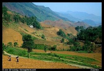 Field Between Tuan Giao And Lai Chau Northwest Vietnam Color
