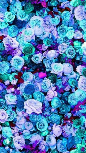 Pink Peonies Roses Floral iPhone Phone Wallpaper Background Lock