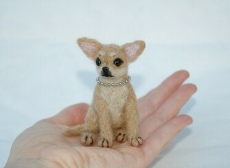 Chihuahua Wallpaper Part