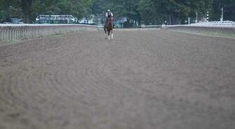 Oklahoma Training Track All To Themselves At The Saratoga Race Course