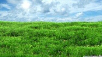 Realistic Wallpaper