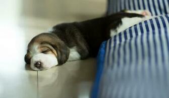 National Napping Day How A Minute Mid Afternoon