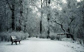 Snow Seasons Bench Cold Wallpaper