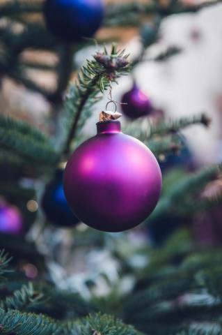 Christmas Ornament Pictures Image