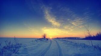 Path Through The Snowy Field Wallpaper