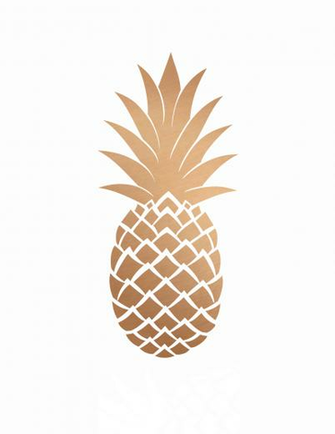 For Those Of You Who Liked Last Week S Pretty Pineapple Computer