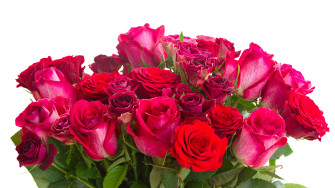 Image Bouquets Roses Flower Closeup White Background Wallpaper