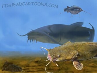 Catfish Wallpaper Cake Ideas And Designs