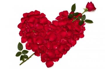 Roses Heart Red Petals Flowers Love Valentine S Day
