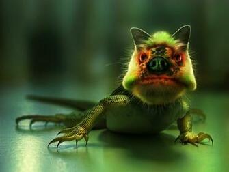 Abstract Animal Computer Desktop HD Wallpaper Stylish