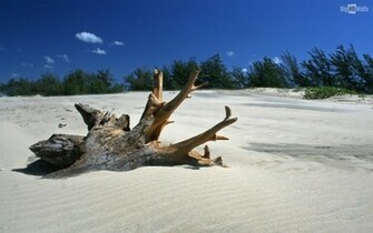 White Sandy Beach Wallpaper Beaches