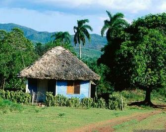 Desktop Wallpaper Natural Background Tropical Hut