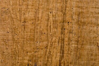 Papyrus By Henrikholmberg