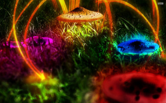 Wallpaper Id Psychedelic Mushroom Fantasy Art