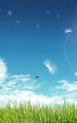 Beautiful Summer Scenery Wallpaper