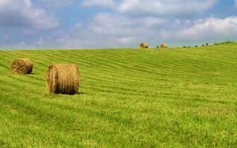 Hay Bales On Green Grass Wallpaper