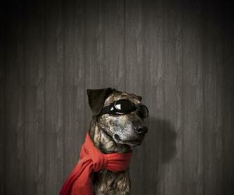 HD Wallpaper Android Ios Windows Phone And Desktop Lg Optimus 3d