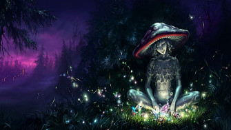 Fantasy The Mushroom Desktop Wallpaper