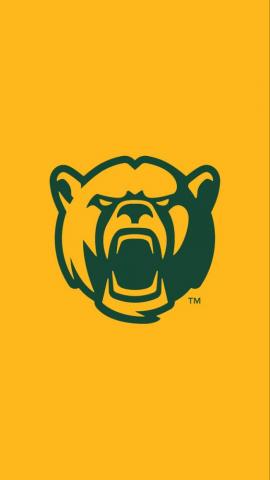 Baylor University On New Brand Wallpaper