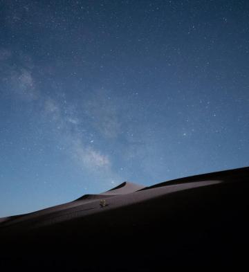 Desert Night Pictures Image