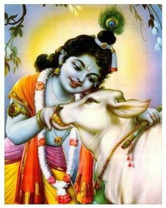 Lord Krishna HD Wallpaper