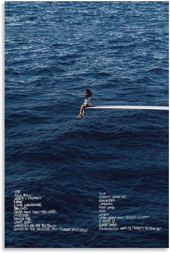 Sza Sos Album Cover Music Poster S Art And Wall