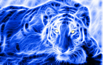 Electric Blue Tiger