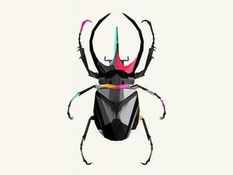 Justin Maller Abstract Animals Digital Art Scarab Wallpaper