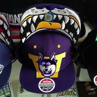 Uw Huskies Wallpaper
