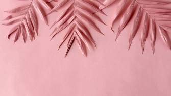 Pale Pink Wallpaper