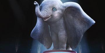 Dumbo Elephant Animation Movie Wallpaper HD Image