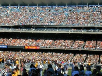 Stadium Crowd Wallpaper