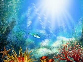 Immagini Foto Sfondi Acquario Con I Pesci Wallpaper