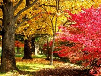 Nature Missouri Wallpaper