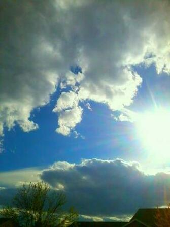 Bright Sunny Day Wallpaper